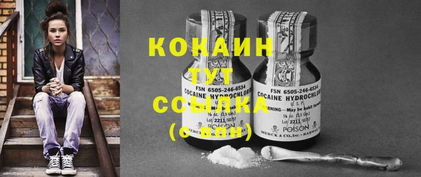 соль курить ск Каменка